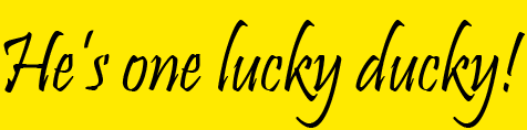 He's one lucky ducky!